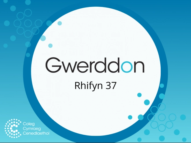 Mân lun Gwerddon 37