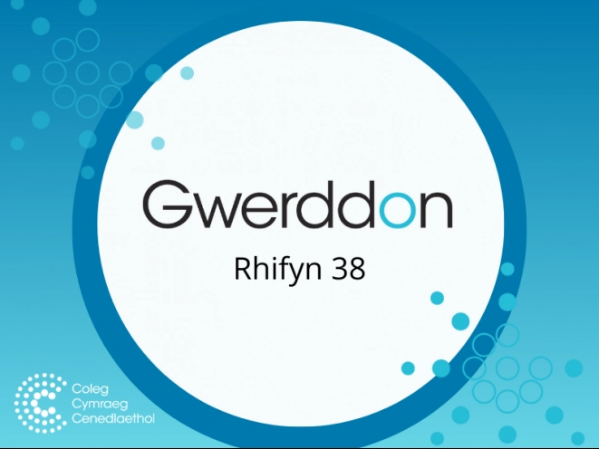 Mân lun Gwerddon 38